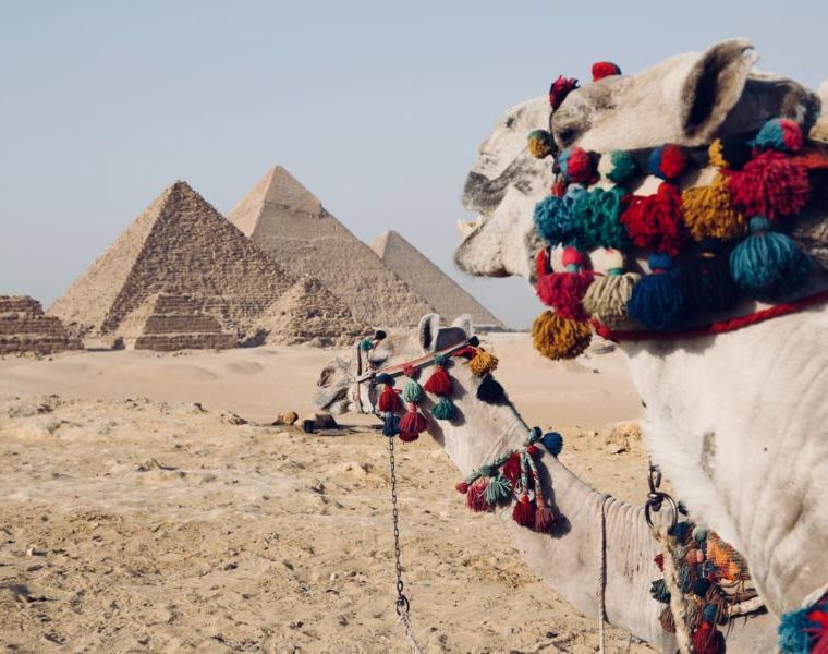 Pyramiden und Kamele, Ägypten Rundreise