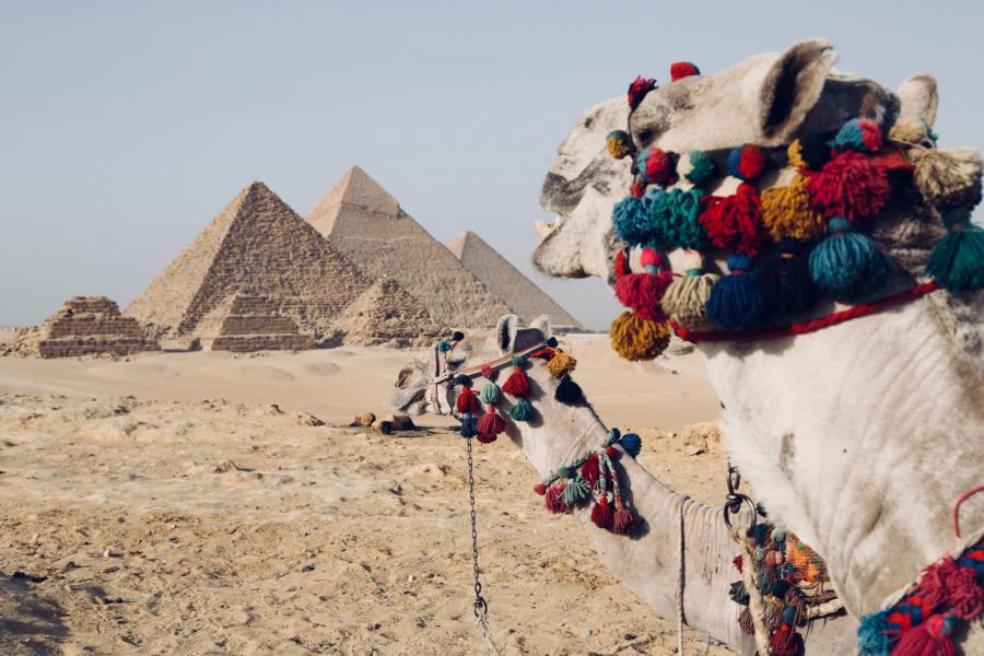 Pyramiden und Kamele, Ägypten Rundreise