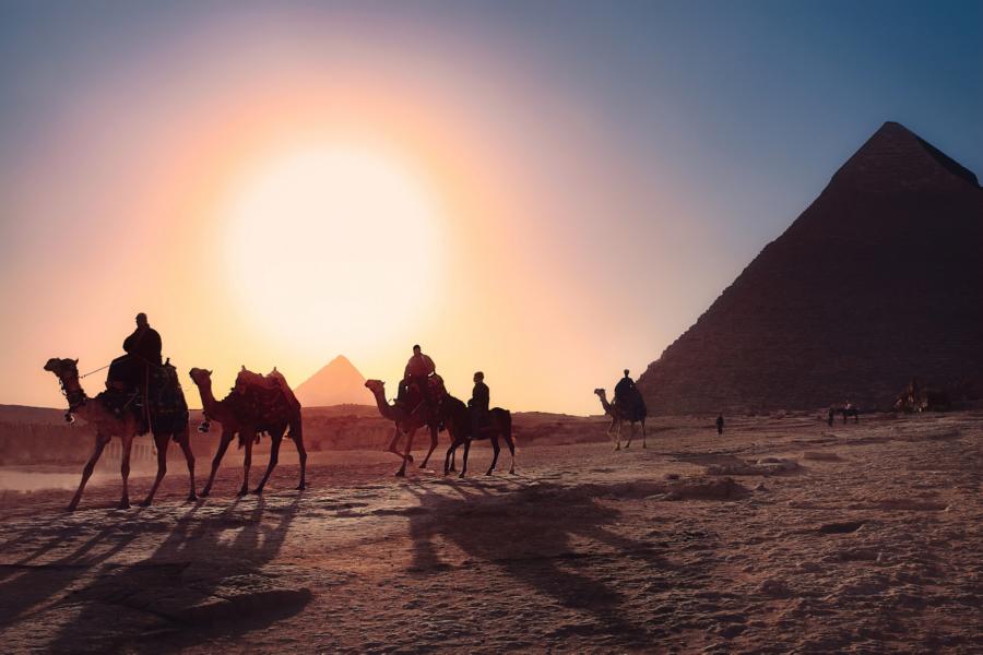 Kamele mit Sonnenuntergang, Ägypten Rundreise