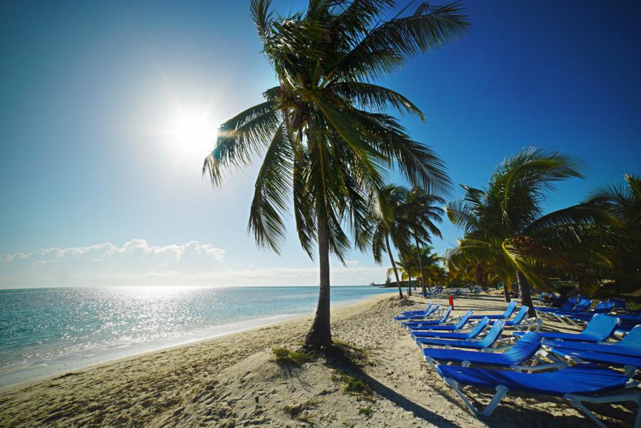 Palmen am Strand, Bahamas Rundreise