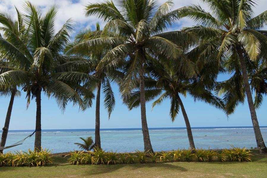 Palmen, Reiseziel Cookinseln