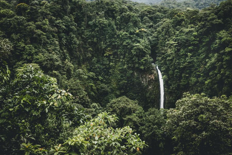 Wasserfall, Costa Rica