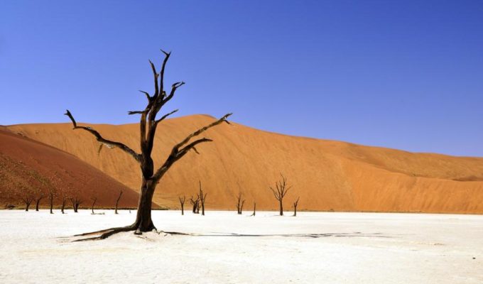 Roter und weißer Sand, Namibia Rundreise