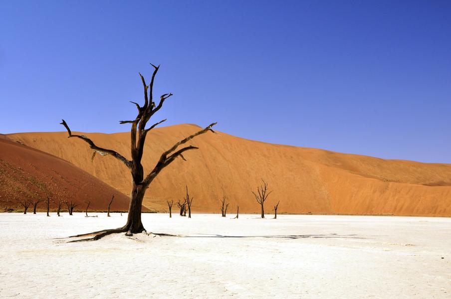 Roter und weißer Sand, Namibia Rundreise