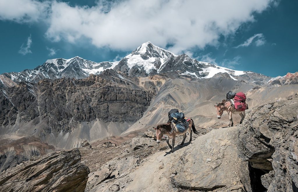 Berge, Packesel, Nepal Rundreise