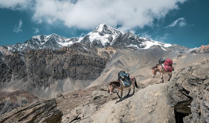 Berge, Packesel, Nepal Rundreise