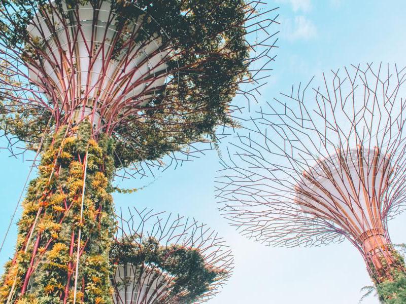 Supertrees, Gardens by the Bay, Singapur Reisen