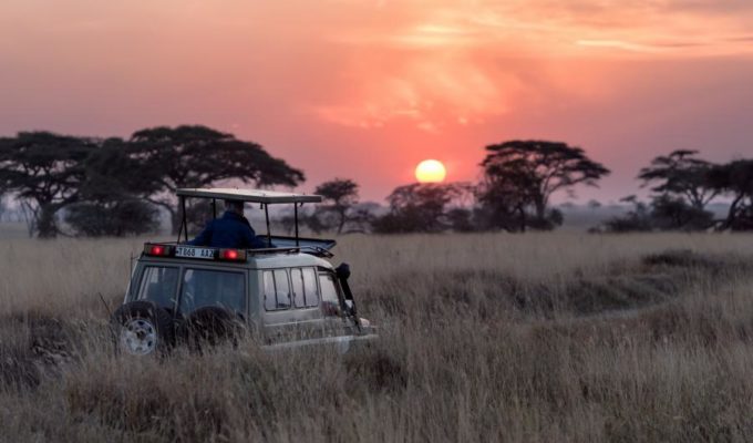 Safari, Tansania