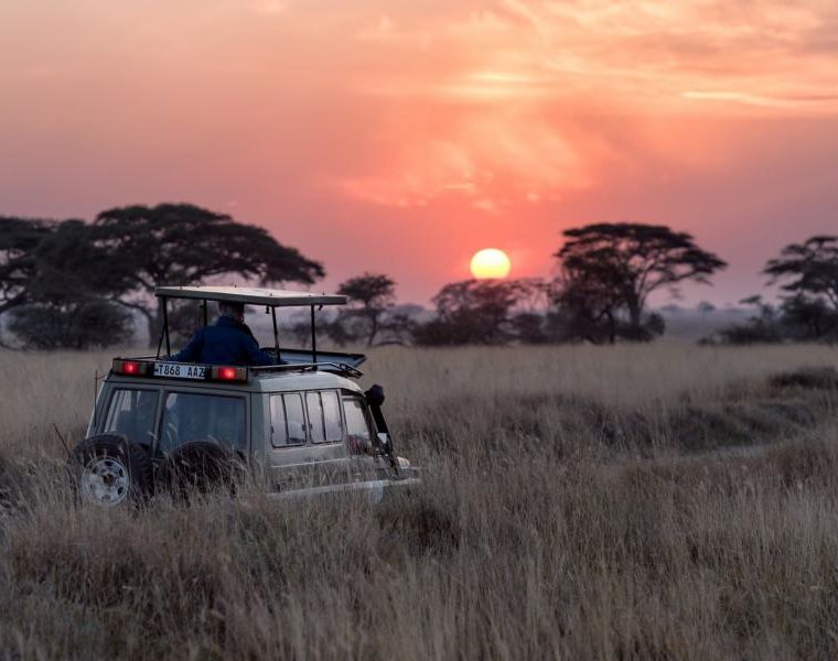 Safari, Tansania
