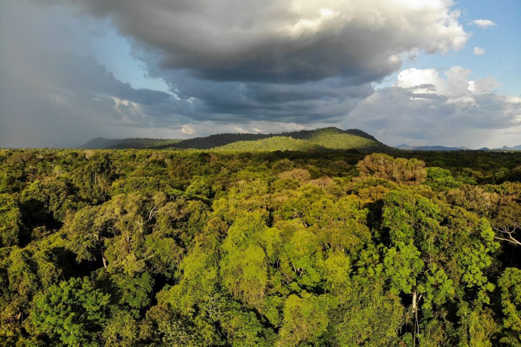 Surama Regenwald, Guyana - das Land der vielen Wasser