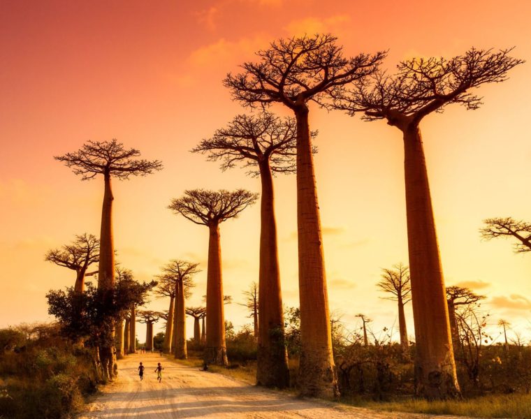 Madagaskar Urlaubsziel