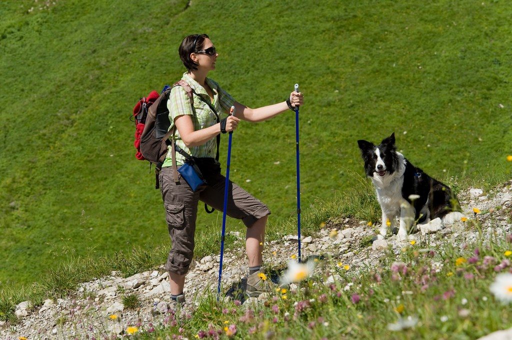Wandern mit Hund in den Alpen.